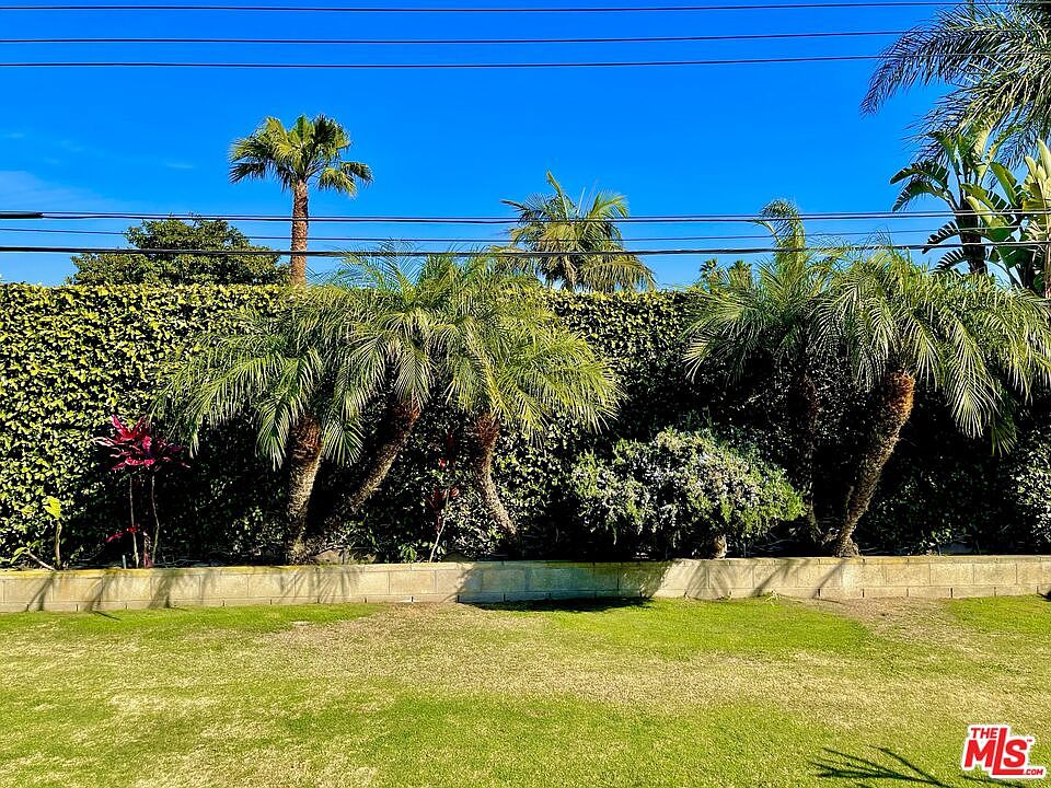 Back lawn with a wall of mature king palms and dense hedge along the rear property line, lawn in the foreground